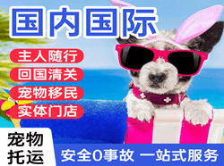 云冈航空快递国际宠物托运 【国